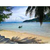 Turtle Sanctuary Beach