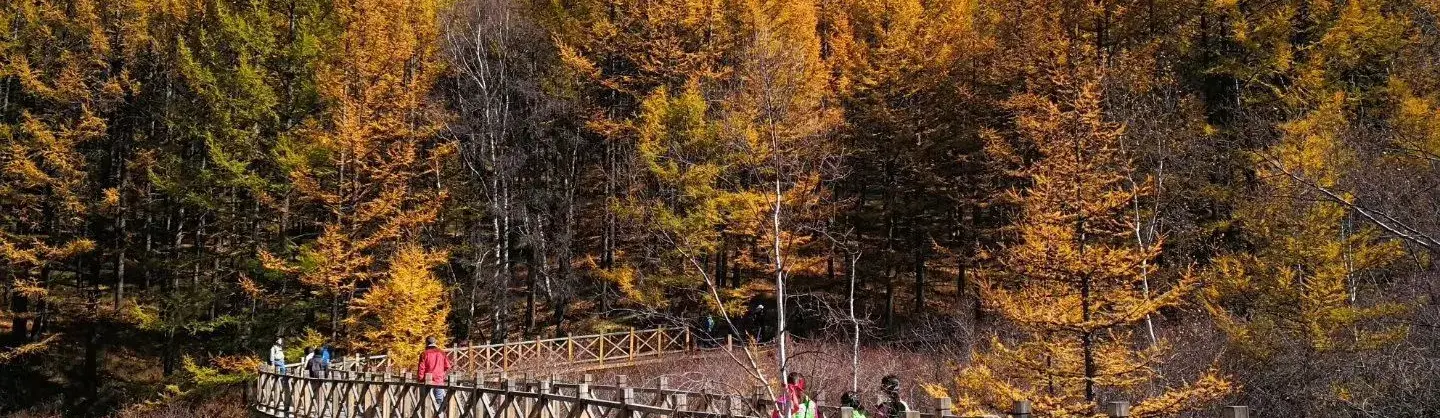 遊賞秋景好去處