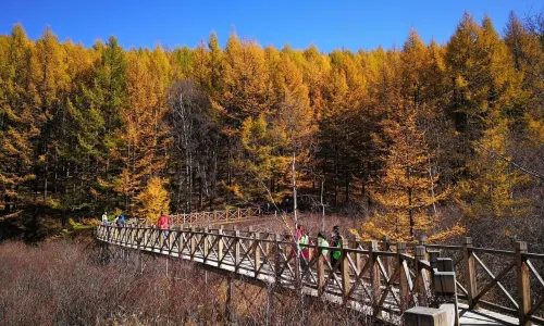 International Resort Cuiyunshan