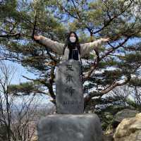 [수원 등산은 광교산에서]