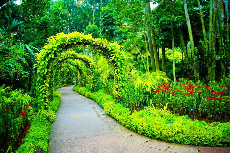 Singapore Botanic Gardens - Singapore Travel Reviews｜Trip.com Travel Guide