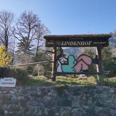 Hotel Lindenhof 여행 사진