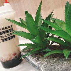 YUNQUEEN RICENOOLDES User Photo