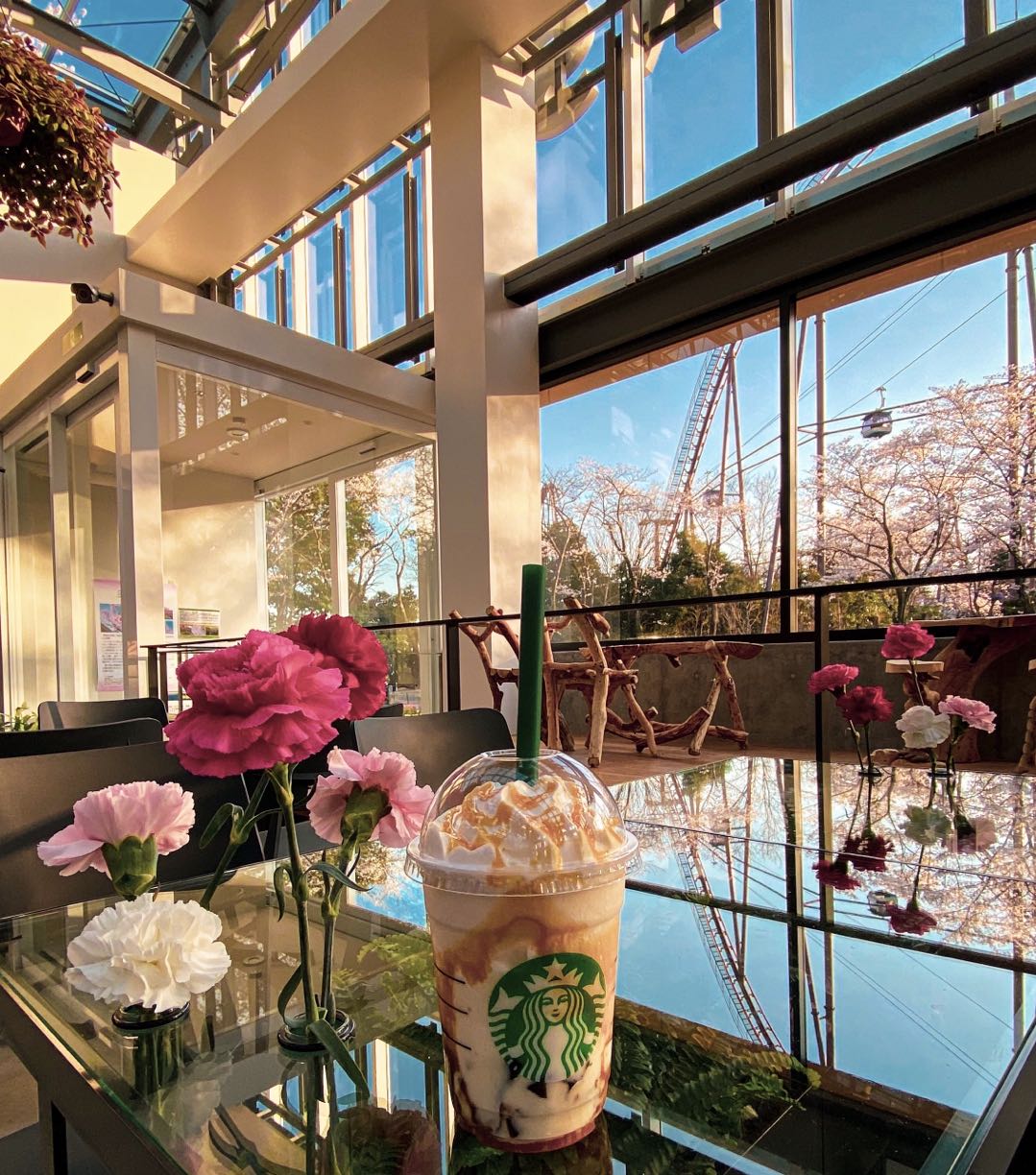 東京 HANA·BIYORI 入場Eチケット 予約