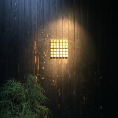 KOFFEE MAMEYA User Photo