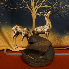 吉祥圣雪藏餐 User Photo