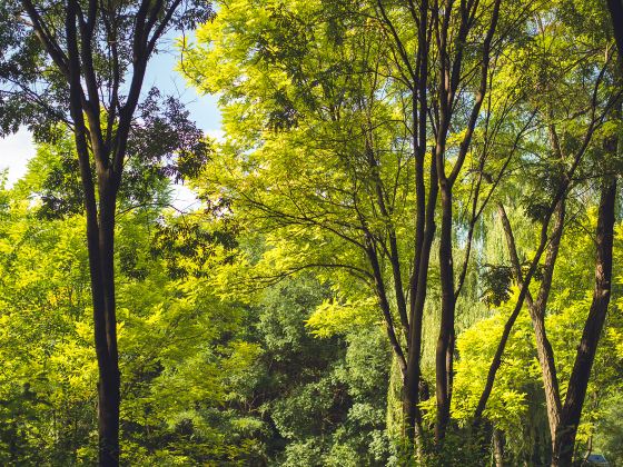 Lanzhou Botanical Garden