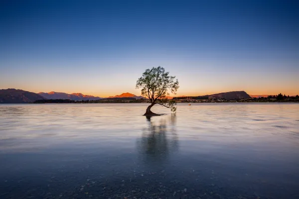 Te Wanaka Lodge