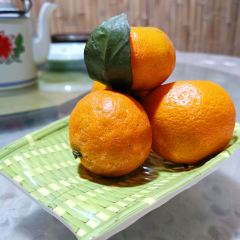 瑤琳紅燈籠笑笑農家樂張用戶圖片