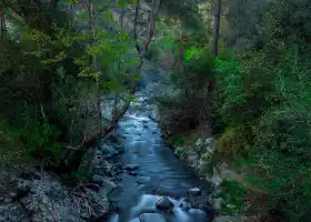 Taibai Qingfengxia Forest Park