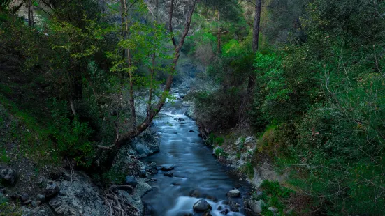 Taibai Qingfengxia Forest Park