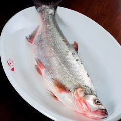 Pu Jiang Chun Xiao(Lao Ma Tou Dian) User Photo