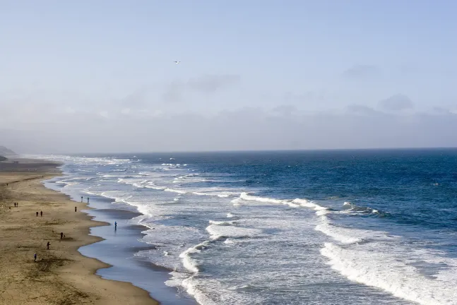 Отзывы об отеле Balboa Bay Resort