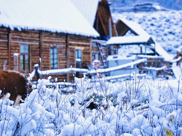 新疆阿勒泰山區的禾木村，早早進入冬季，三國交界地美不勝收！
