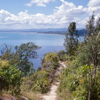 Авиабилеты Басселтон Марсель