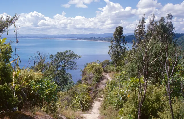 5-звездочные отели в г. Перт