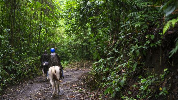 Gunung Gading National Park