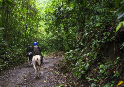 Gunung Gading National Park