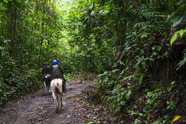 Gunung Gading National Park