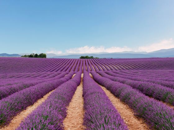 Provence