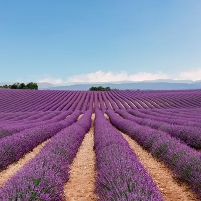 Citykamp d'Aix-en-Provence