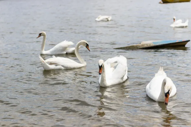 Отзывы об отеле The Lakeland Kendal Hotel, Sure Hotel Collection by Best Western