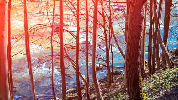 Wuxuantiyu Leisure Park