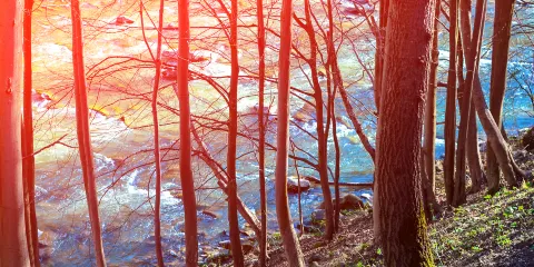 武宣體育休閑公園