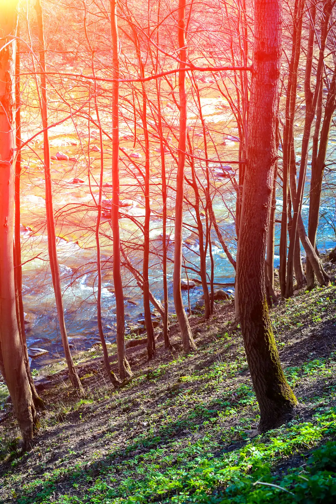 Hotels near Wuxuantiyu Leisure Park