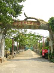 Malu Grape Theme Park