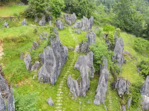 Sinan Stone Forest Tourist Area
