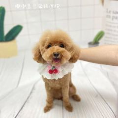 酷狗苑宠物店 User Photo