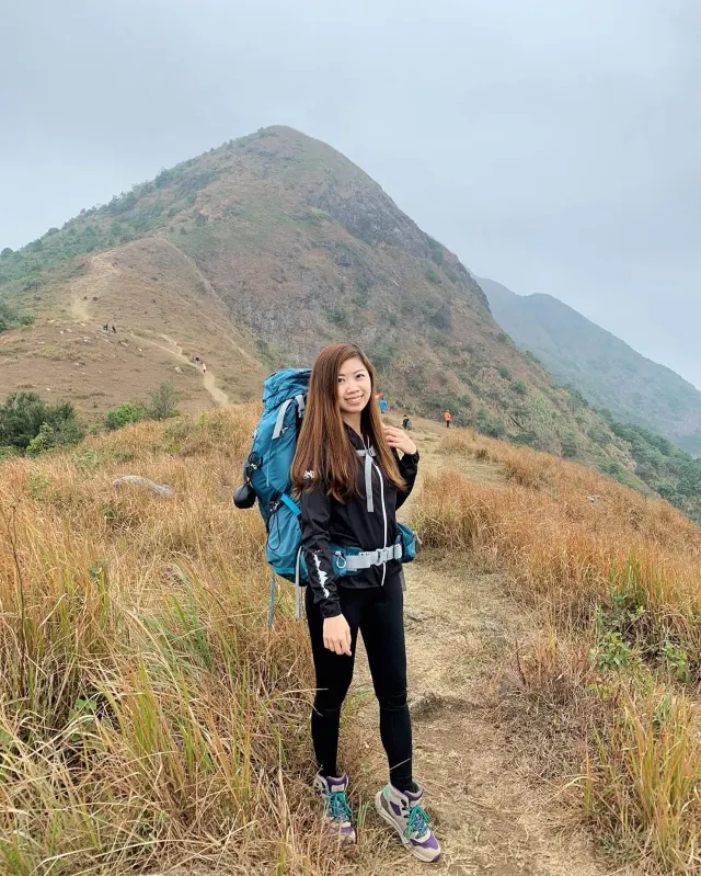 馬鞍山芒草山徑上的行山人士