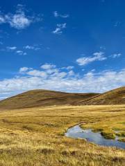 Riluku Grassland