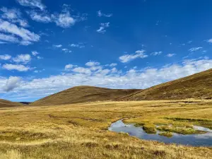 Riluku Grassland