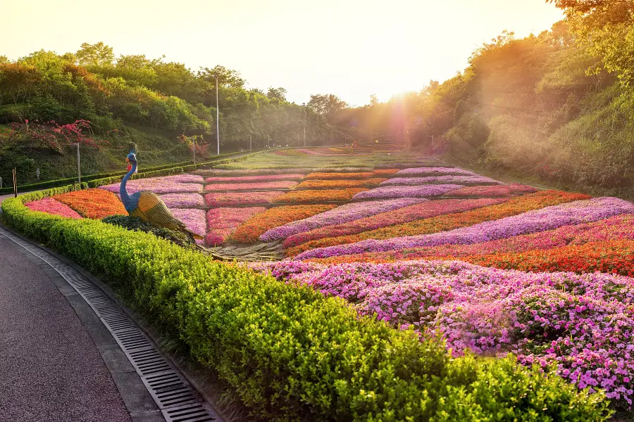 딩산 공원