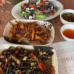 添记伯公凹正宗凉粉店 User Photo