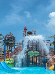 Splash Jungle Water Park Phuket