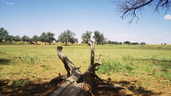 騰格裡沙漠外星球營地