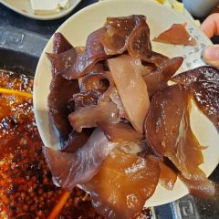 蜀西嘉园 User Photo