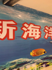 新海洋公園