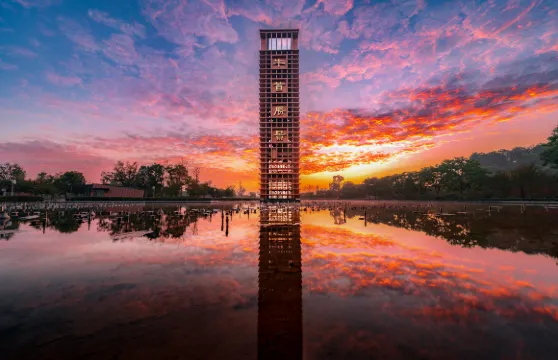 牛首山文化旅遊區門票大小同價（非中國籍遊客）