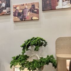 麺屋庄野研究所·麺や庄の研究所 User Photo