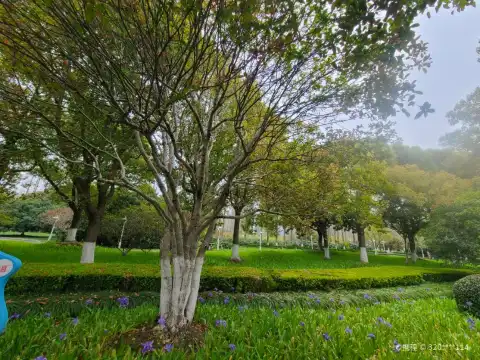 浜河公園周辺のホテル