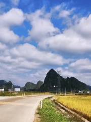 天等縣都康田園景區