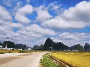 天等縣都康田園景區