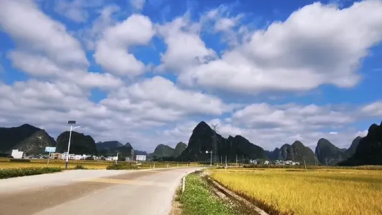 天等縣都康田園景區