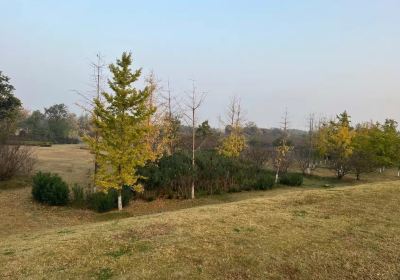 Shayinghe National Wetland Park