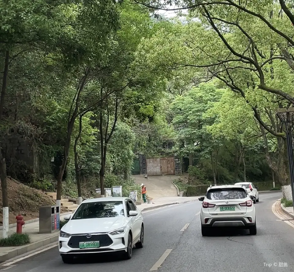 2_灣裡金峽谷風景區