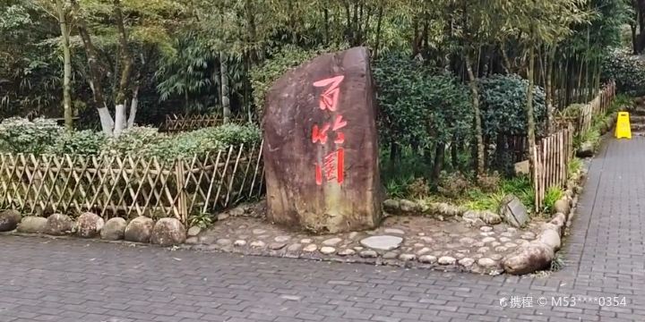 Bamboo Garden